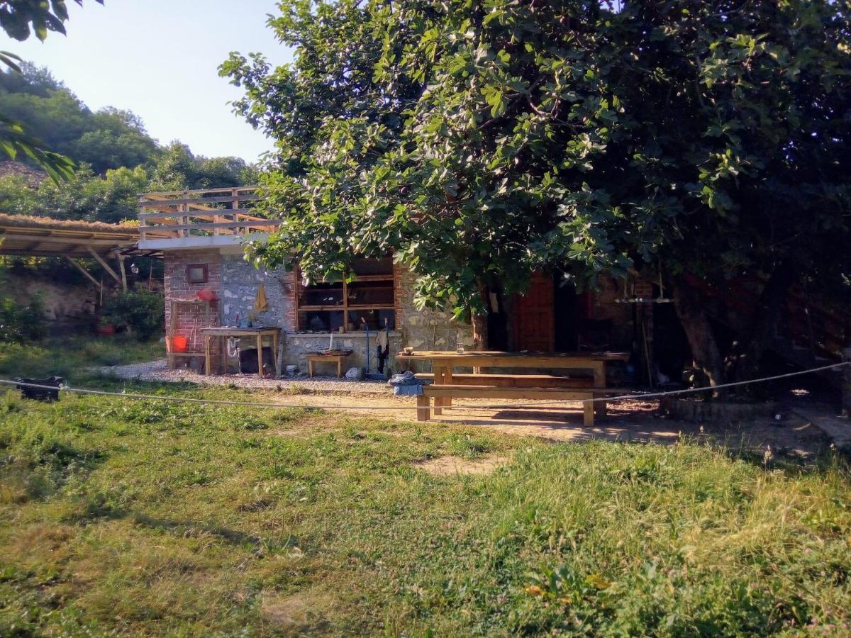 The House In The Village Pellumbas Екстер'єр фото
