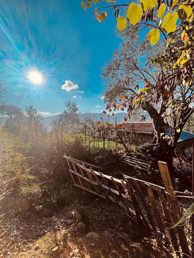 The House In The Village Pellumbas Екстер'єр фото