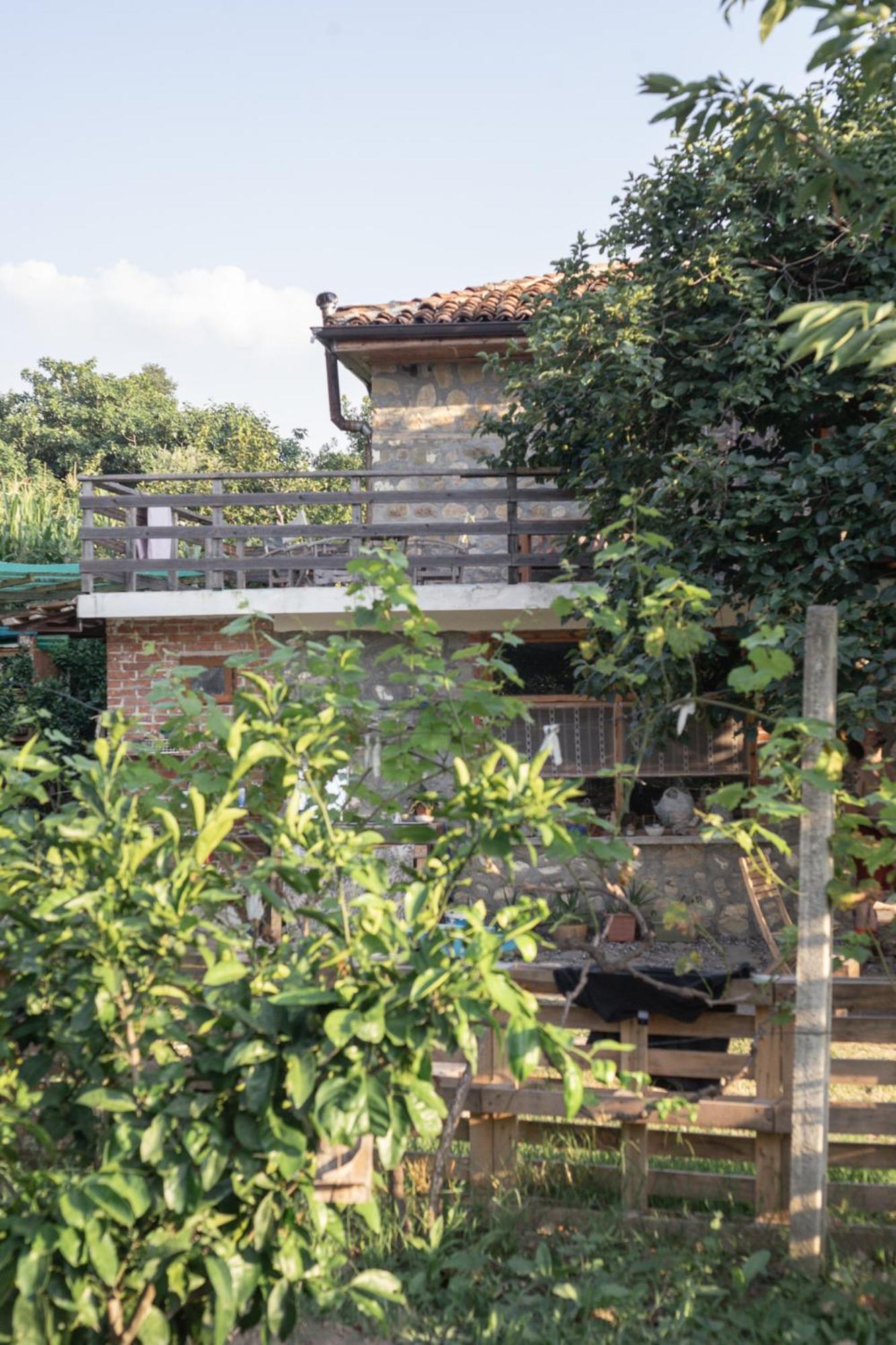 The House In The Village Pellumbas Екстер'єр фото