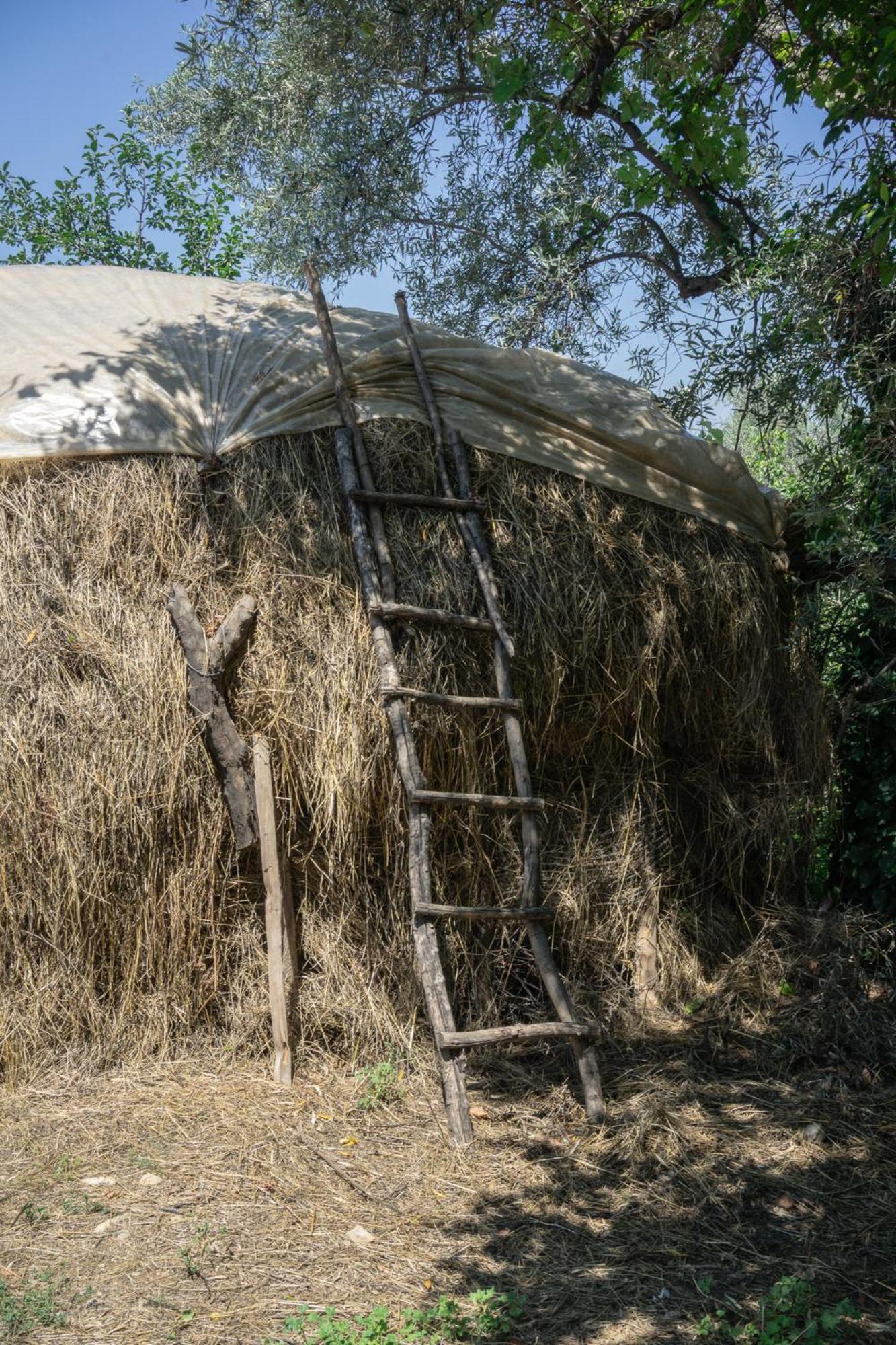 The House In The Village Pellumbas Екстер'єр фото